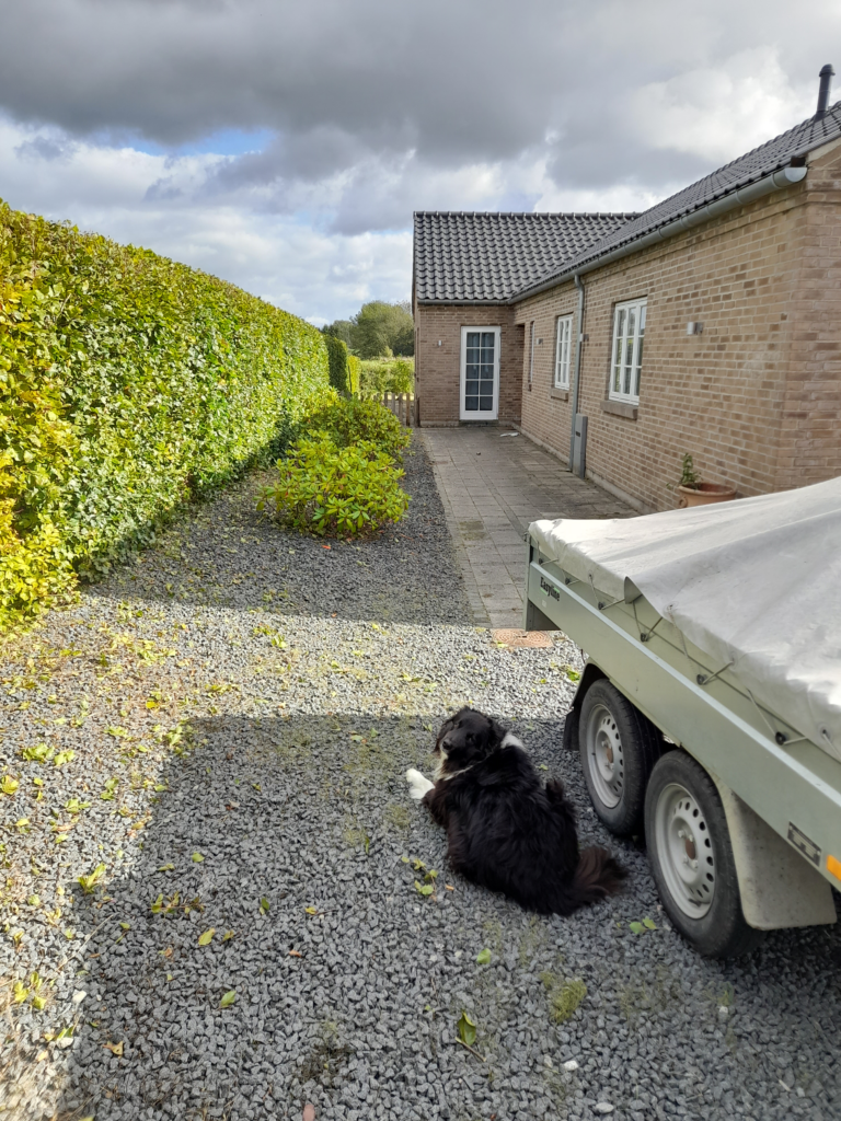 Efterbillede efter GladeHaver Haveservice har fjernet ukrudtet hos Kunde. Ukrudtsbekæmpelse er en del af GladeHavers Haveservicetilbud i Sydsjælland.