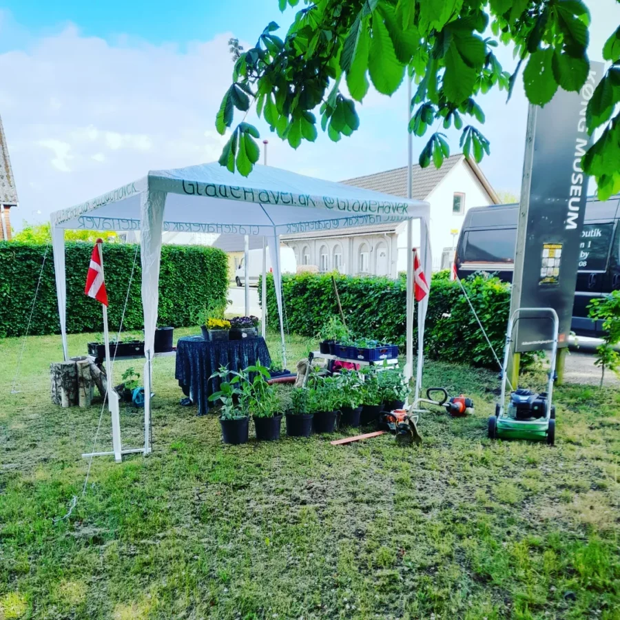 GladeHaver har tomater, andre planter og blomster med fra den lokale havebod i Vordingborg med på Køng Museum Kunsthåndværkermarked.